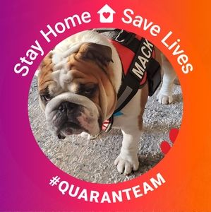 Meet your Posher, April